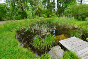 Der Forstbotanische Garten in Eberswalde