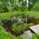 Der Forstbotanische Garten in Eberswalde