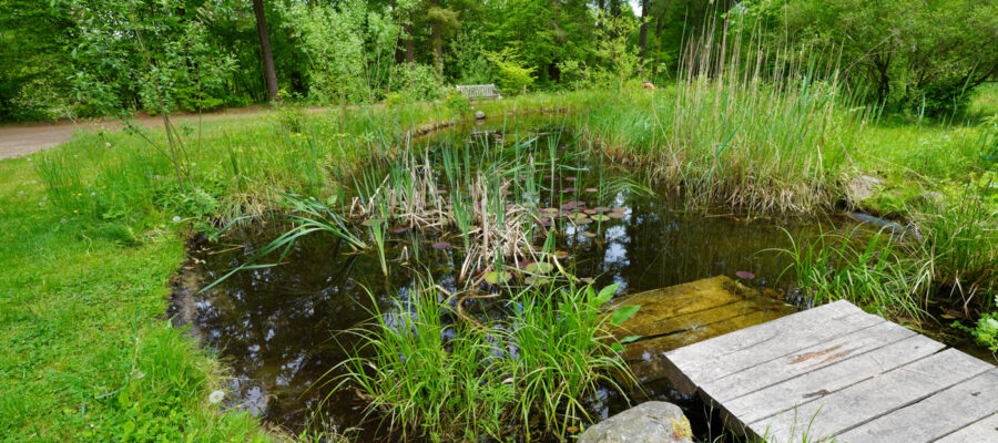 Der Forstbotanische Garten in Eberswalde