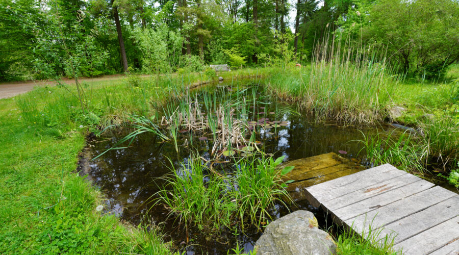 Der Forstbotanische Garten in Eberswalde