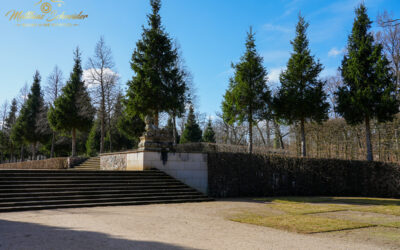 DSC00220 DSC00220
